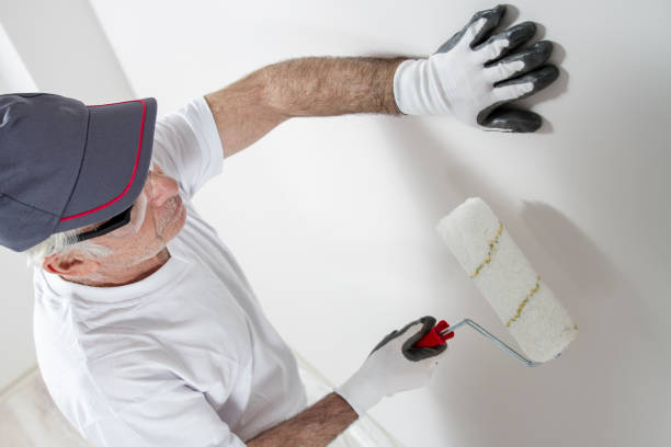 Best Water Damage & Mold Remediation  in Queen Creek, AZ