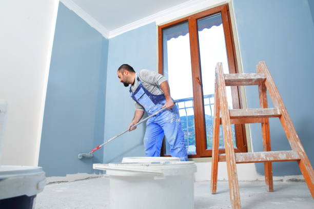 Best Black Mold Removal  in Queen Creek, AZ