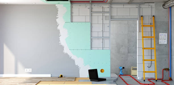 Professional Mold Removal in Queen Creek, AZ