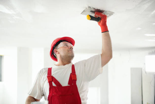 Best Air Quality Testing for Mold Spores  in Queen Creek, AZ