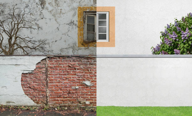 Best Environmental Consulting for Mold Prevention  in Queen Creek, AZ