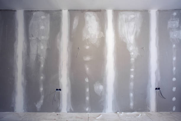 Best Biohazard Mold Removal  in Queen Creek, AZ